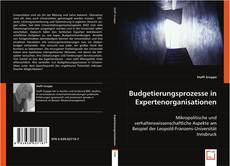 Budgetierungsprozesse in Expertenorganisationen的封面