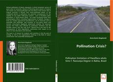 Buchcover von Pollination Crisis?