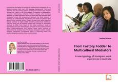 Portada del libro de From Factory Fodder to Multicultural Mediators