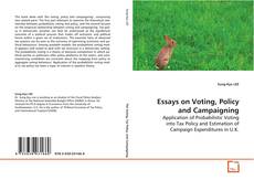 Buchcover von Essays on Voting, Policy and Campaigning