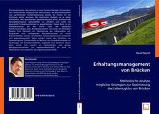 Copertina di Erhaltungsmanagement von Brücken