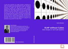 OLAP without Cubes的封面