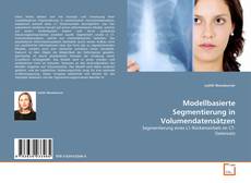 Buchcover von Modellbasierte Segmentierung in Volumendatensätzen
