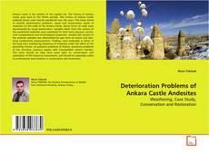 Couverture de Deterioration Problems of Ankara Castle Andesites