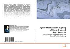 Buchcover von Hydro-Mechanical Coupling of Shear-Induced Rock Fracture