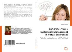 Buchcover von PRO EVOLUTION -
Sustainable Management in Virtual Enterprises