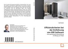 Bookcover of Effizienzkriterien bei der Einführung von ERP-Software