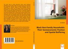 Black Non-Family Households: Their Socioeconomic Position and Spatial Buffering kitap kapağı