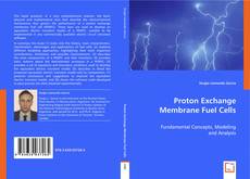 Proton Exchange Membrane Fuel Cells kitap kapağı