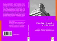 Meaning, Historicity, and the Social kitap kapağı