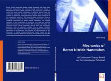 Mechanics of Boron Nitride Nanotubes kitap kapağı