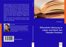 Copertina di Öffentliche Meinung in Leben und Werk von Theodor Fontane