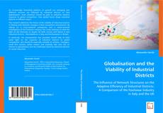 Borítókép a  Globalisation and the Viability of Industrial Districts - hoz