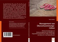 Management von Überschwemmungsrisiken的封面