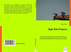 High Risk Projects的封面