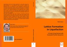 Lattice Formation in Liquefaction的封面