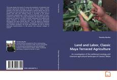 Couverture de Land and Labor, Classic Maya Terraced Agriculture