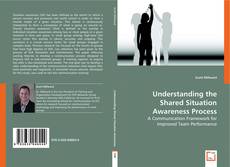 Understanding the Shared Situation Awareness Process kitap kapağı