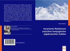 Invariante Relationen zwischen konjugierten algebraischen Zahlen kitap kapağı