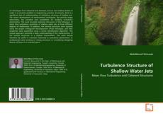 Portada del libro de Turbulence Structure of Shallow Water Jets