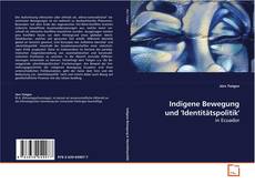 Capa do livro de Indigene Bewegung und 'Identitätspolitik' 