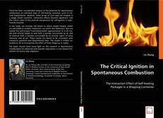 The Critical Ignition in Spontaneous Combustion kitap kapağı