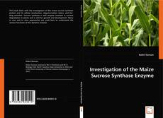 Investigation of the Maize Sucrose Synthase Enzyme kitap kapağı