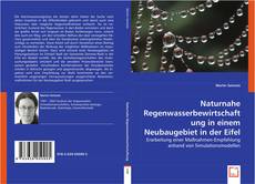 Naturnahe Regenwasserbewirtschaftung in einem Neubaugebiet in der Eifel的封面