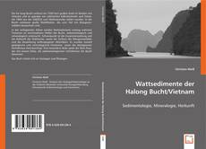 Wattsedimente der Halong Bucht/Vietnam kitap kapağı