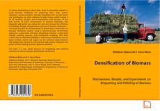 Обложка Densification of Biomass