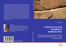 Couverture de Predictive Pore-Scale Modelling of Multiphase Flow