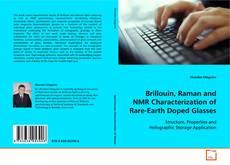 Copertina di Brillouin, Raman and NMR Characterization of
Rare-Earth Doped Glasses