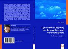 Dynamische Kopplung der Troposphäre und der Stratosphäre kitap kapağı