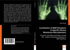 Localization of BMP Receptors in Specific Plasma Membrane Microdomains kitap kapağı