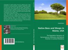 Capa do livro de Native Bees and Wasps in Maine, USA 