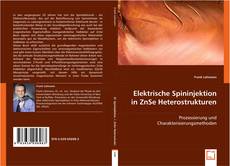 Elektrische Spininjektion in ZnSe Heterostrukturen kitap kapağı