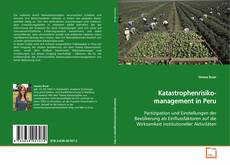 Buchcover von Katastrophenrisikomanagement in Peru