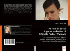 The Role of Social Support in the Use of Intimate Partner Violence kitap kapağı