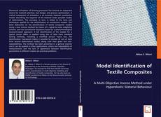 Model Identification of Textile Composites kitap kapağı