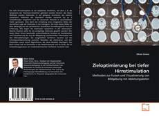 Portada del libro de Zieloptimierung bei tiefer Hirnstimulation