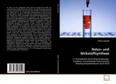 Borítókép a  Natur- und Wirkstoffsynthese - hoz