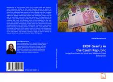 Buchcover von ERDF Grants in the Czech Republic