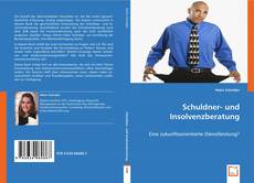 Schuldner- und Insolvenzberatung kitap kapağı
