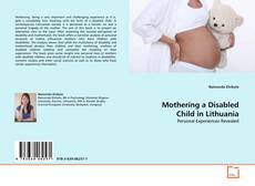 Couverture de Mothering a Disabled Child in Lithuania
