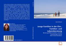 Couverture de Junge Familien in der Ehe-, Familien- und Lebensberatung