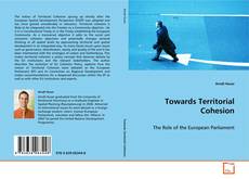 Copertina di Towards Territorial Cohesion