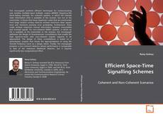 Efficient Space-Time Signalling Schemes的封面