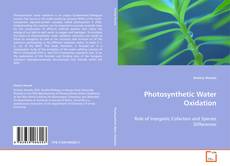 Copertina di Photosynthetic Water Oxidation