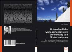 Unterschiedliche Managementansätze zur Führung von Skidestinationen kitap kapağı