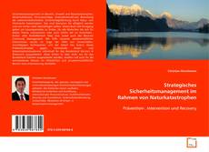 Copertina di Strategisches Sicherheitsmanagement im Rahmen von
Naturkatastrophen